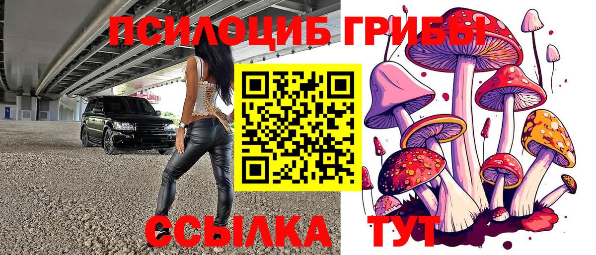 Галлюциногенные грибы Psilocybe  Вход с VPN  Сосновоборск  Псилоцибиновые грибы Magic Shrooms 