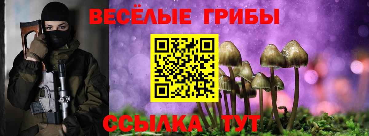 Псилоцибиновые грибы мухоморы Сосновоборск